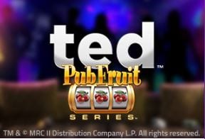 Ted Pub Fruit - Yako Casino